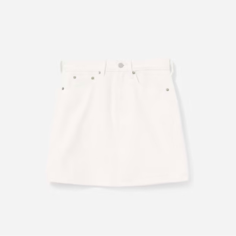 Everlane The Denim Skirt